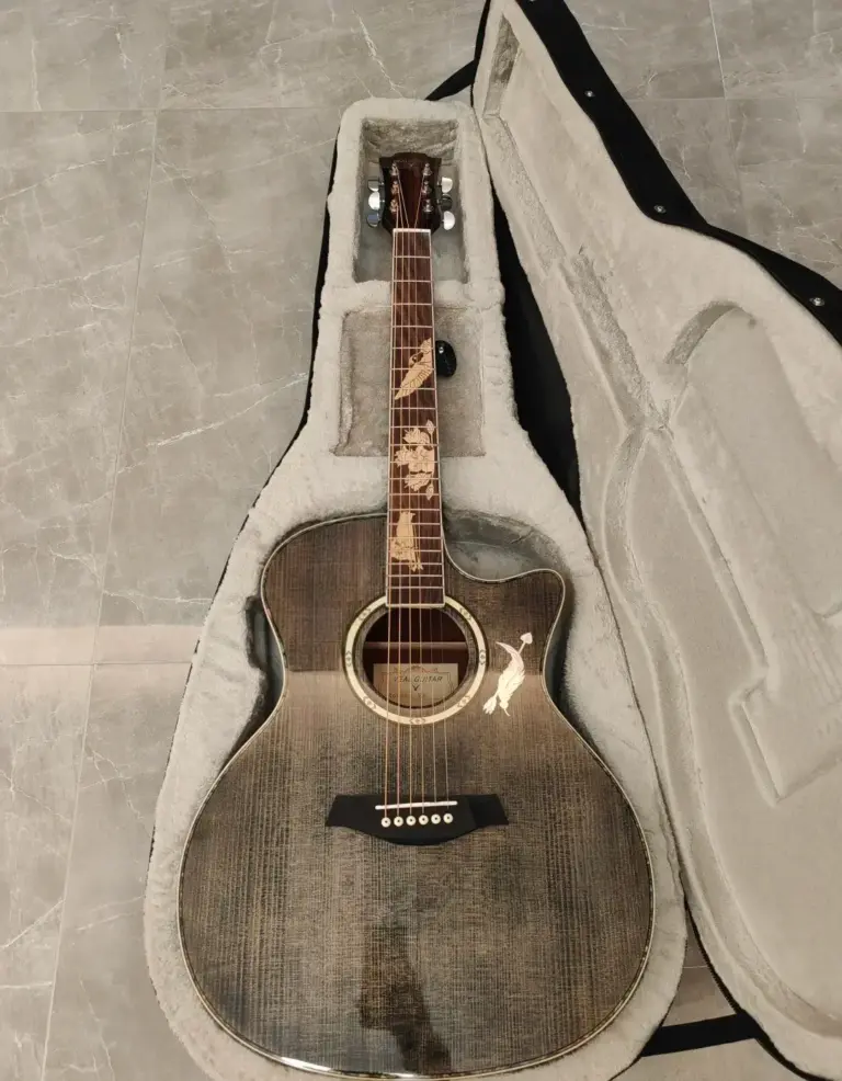Acoustic-electric folk guitar in its case