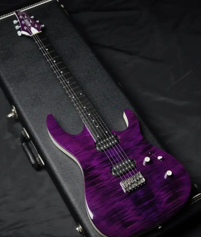 Kiesel guitar with a purple flamed top in its case