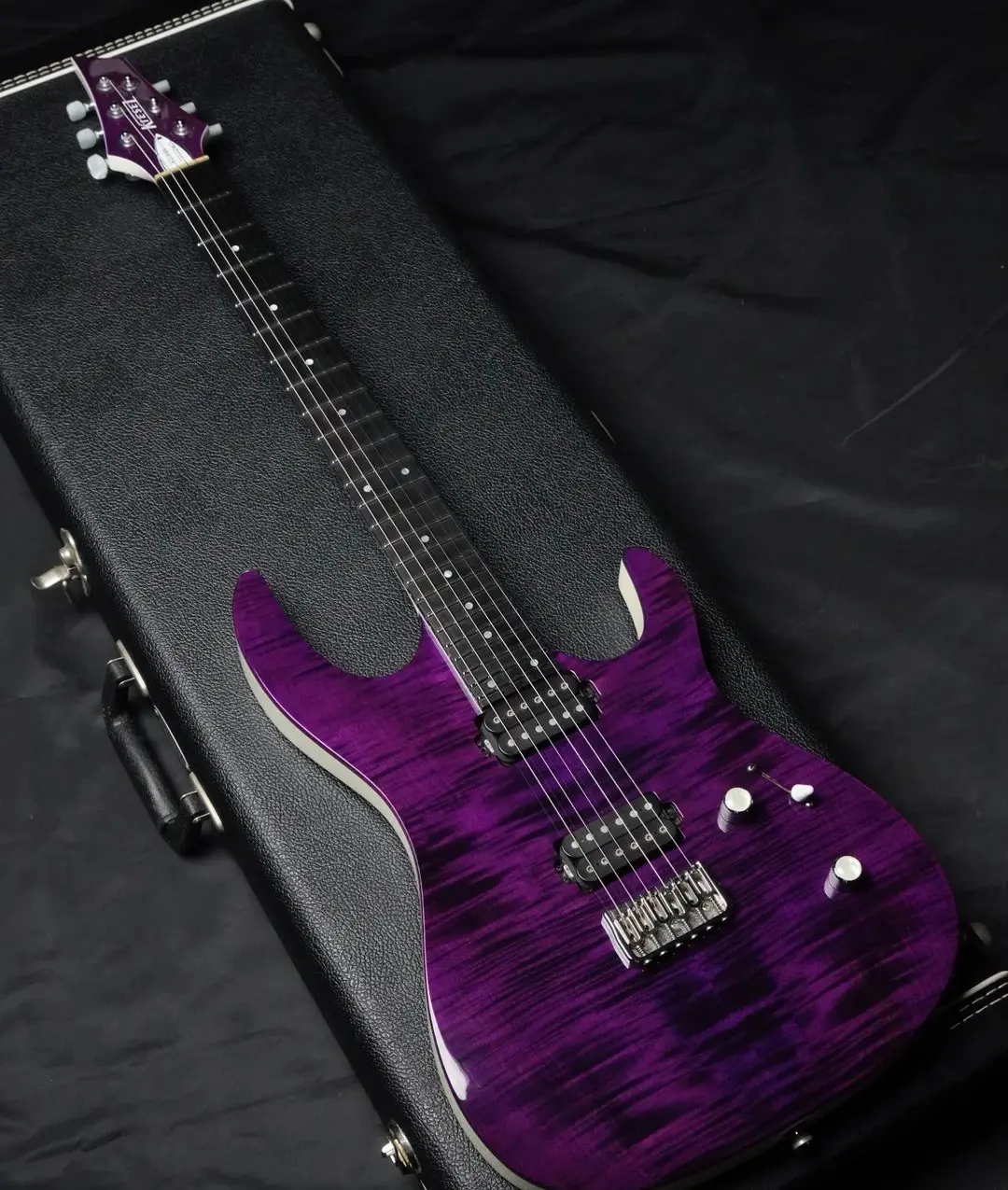 Kiesel guitar with a purple flamed top in its case